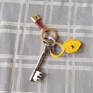 Vintage and Modern Skeleton Key Keyring